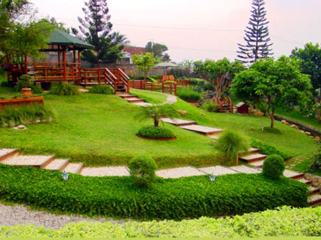 Jasa Landscape Taman di Bali 6281338 324881 Jual 